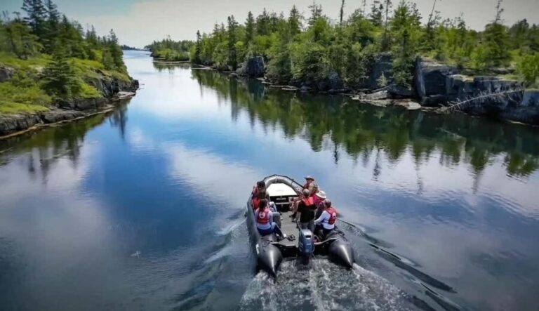 Lunenburg: Zodiac Wildlife Tour with Naturalist Guide - The Value and Who It’s For