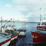 Luxury 3-Day Coastal Getaway: Iconic Highway 1 from SF to LA - Who Would Love This Tour?