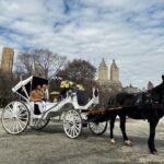 Luxury Horse and Carriage Tours in Central Park - A Closer Look at the Itinerary