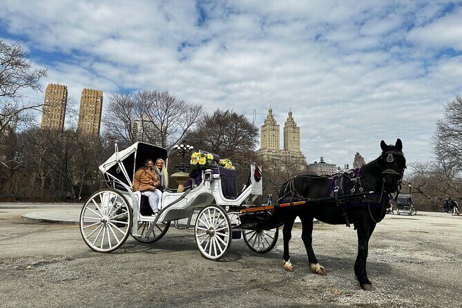Luxury Horse and Carriage Tours in Central Park - A Closer Look at the Itinerary