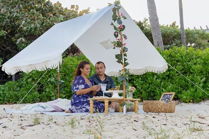 Luxury Picnic in Honolulu with Ocean & Crater Views - The Reality Check: What the Reviews Say