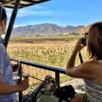 Luxury Private Wine Tasting Tour to Guadalupe Valley from San Diego - Transportation & Timing