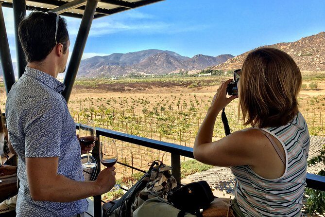 Luxury Private Wine Tasting Tour to Guadalupe Valley from San Diego - Transportation & Timing