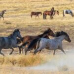 Luxury tour for up to 7 to Antelope Canyon X and Horseshoe Bend - Transportation, Timing, and Comfort