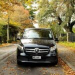 Luxury Van - Sydney Airport Private Arrival Transfer - Who Should Consider This Transfer?