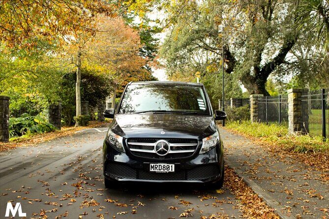 Luxury Van - Sydney Airport Private Arrival Transfer - Who Should Consider This Transfer?
