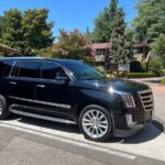 Luxury Wine Tasting in Paso Robles with Pour Decisions - Real-World Insights from Travelers