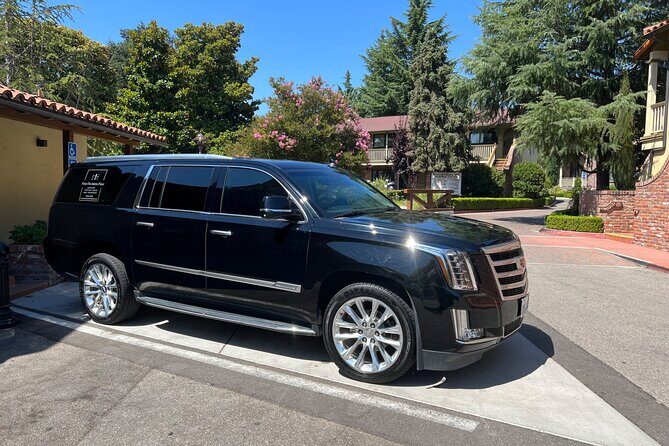 Luxury Wine Tasting in Paso Robles with Pour Decisions - Real-World Insights from Travelers