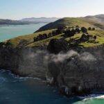 Lyttelton Shore Excursion - Guided Walking Tour and Picnic - Who Is This Tour Best For?