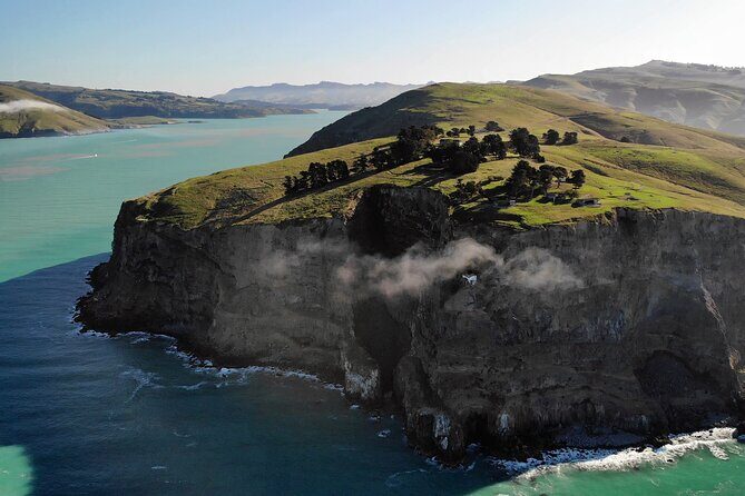 Lyttelton Shore Excursion - Guided Walking Tour and Picnic - Who Is This Tour Best For?