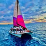 Maalaea Harbor: Sunset Sail on a Charming Hawaiin Catamaran - Whale Watching and Marine Life Encounters