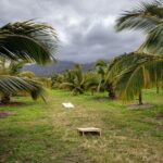 Macnut Tour, Picnic lunch and Maui Bees - The Tour Breakdown