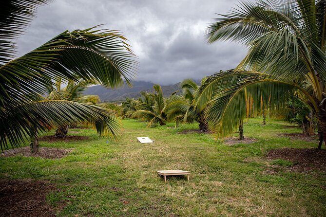 Macnut Tour, Picnic lunch and Maui Bees - The Tour Breakdown