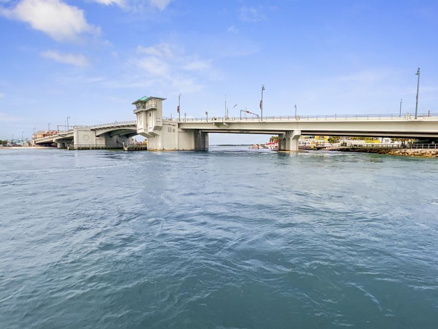 Madeira Beach: Guided Dolphin Watching Eco-Friendly Cruise - The Value of This Experience