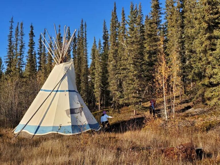 Madeline Lake: Aurora Lodge and Aurora Chasing Tour - Final Thoughts