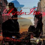 Mafia Gangster History in Little Italy, New York Walking Tour - The Practicalities: What to Expect