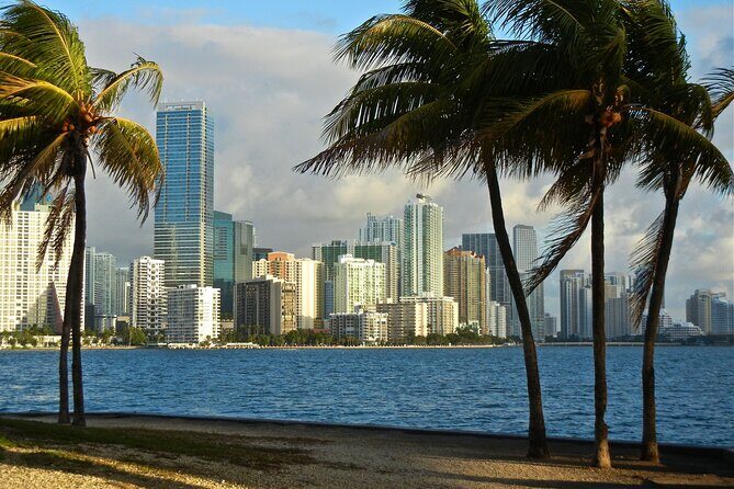 Magic City Discovery: Full-Day Private Tour of Miami - Analyzing the Value