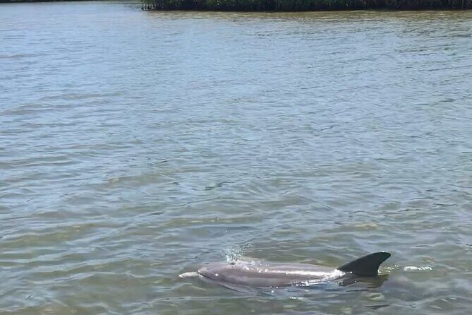 Magic of Nature Guided Kayak Eco Tour - An In-Depth Look at the Tour