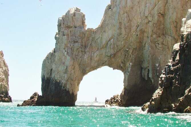 Magical Baja Adventure Todos Santos, Cabo, & San José Tour - Discovering Todos Santos