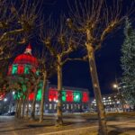 Magical Christmas Wonders: A San Francisco Stroll - What to Expect