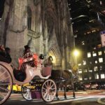 Magical Evening Horse-Drawn Carriage through NYC (65 min) - Who Is This Tour Best For?