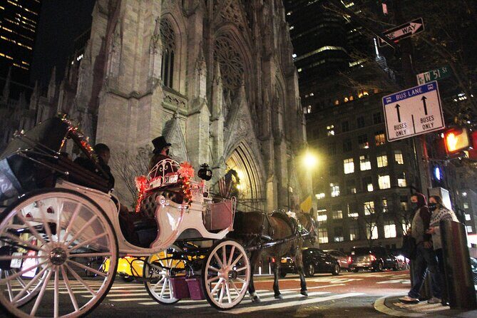 Magical Evening Horse-Drawn Carriage through NYC (65 min) - Who Is This Tour Best For?