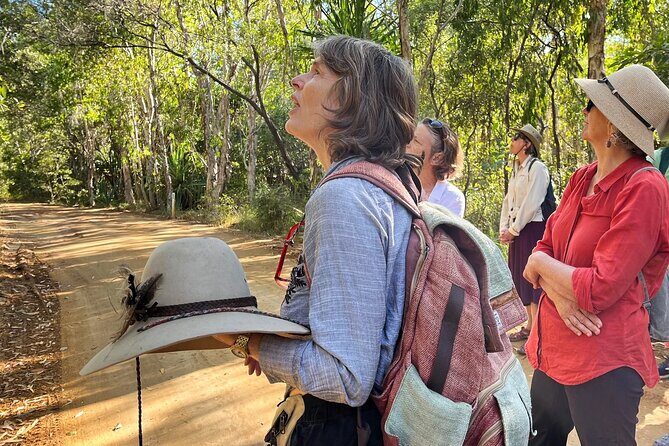 Magnetic Island: West Coast Eco Adventure - A Deep Dive into the Magnetic Island West Coast Eco Adventure