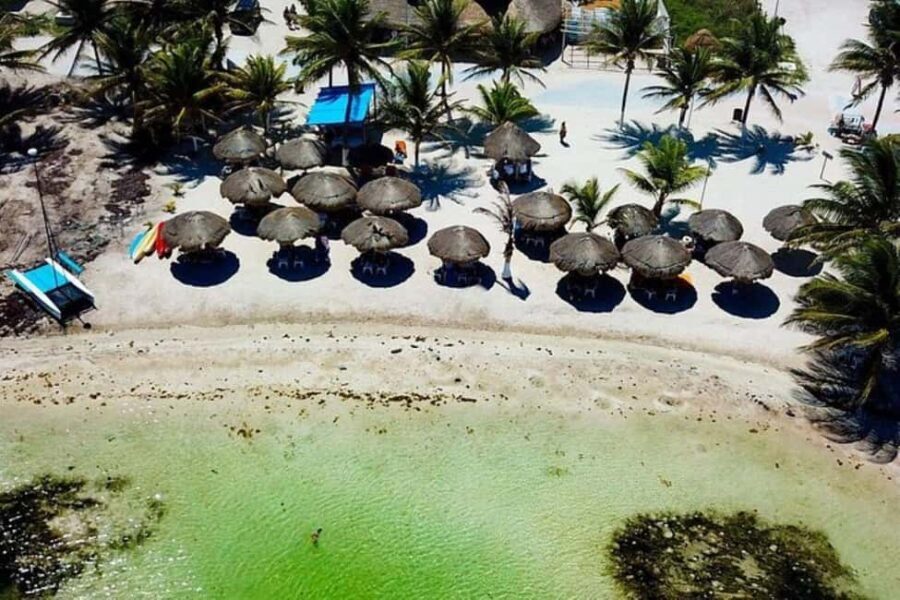 Mahahual: All-Inclusive Costa Maya Beach Break with Open Bar - The Pros and Cons: A Closer Look