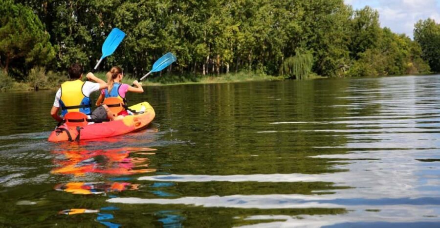 Maine: Half-Day Double Kayak Rental - What the Water Looks and Feels Like