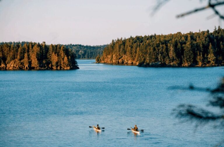 Maine: Half-Day Single Kayak Rental - The Waterways You Can Explore