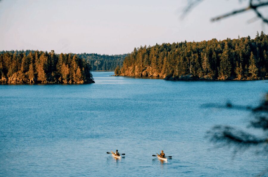 Maine: Half-Day Single Kayak Rental - The Waterways You Can Explore