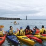 Maine: Penobscot River Guided Kayaking Tour - Why You Should Consider This Tour