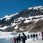Majestic Icefield Private Day Tour from Calgary - Who Would This Tour Suit?