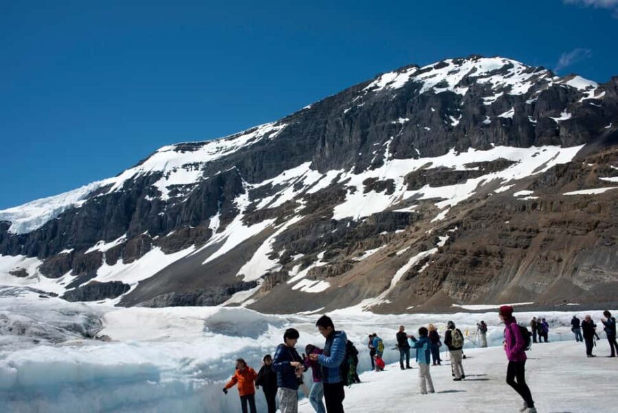 Majestic Icefield Private Day Tour from Calgary - Who Would This Tour Suit?