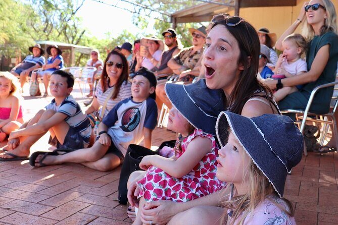 Malcolm Douglas Crocodile Park Tour Including Transportation - The Itinerary in Detail