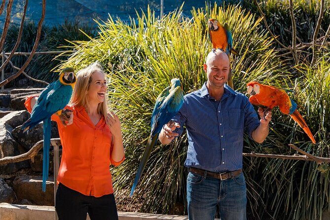 Maleny Botanic Gardens Bird Aviary Experience Ticket - The Experience in Practice: What Travelers Say