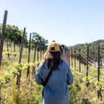 Malibu: Guided Vineyard Hike with Photo Stops and Wine - What Sets This Tour Apart?