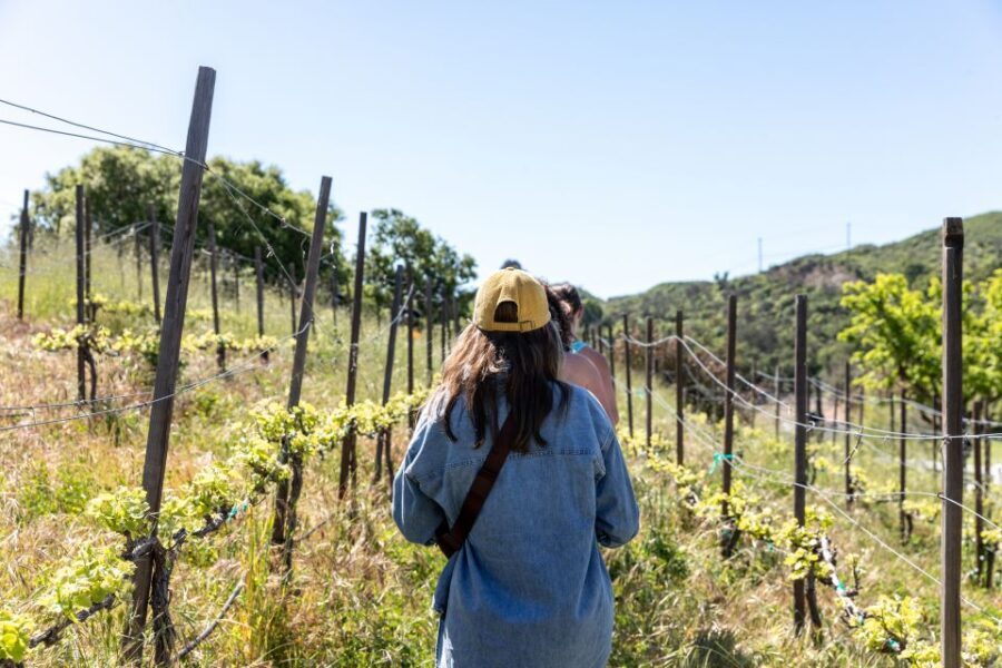 Malibu: Guided Vineyard Hike with Photo Stops and Wine - What Sets This Tour Apart?