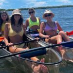 Manatee And Dolphin Tour - What Are Travelers Saying?
