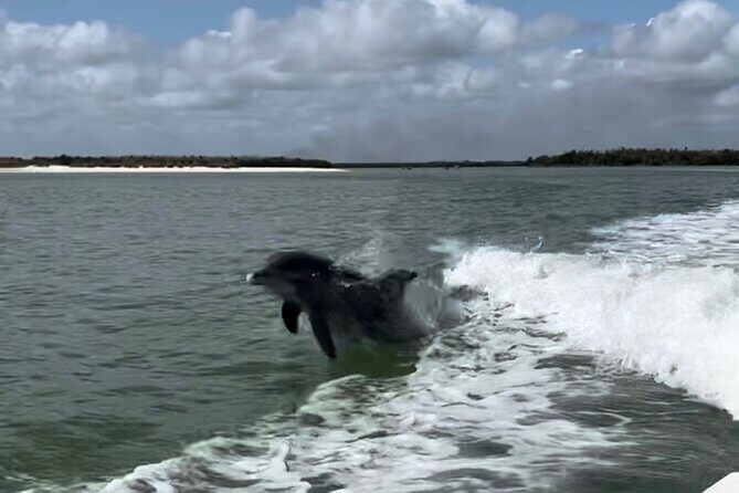 Manatee, Dolphin, and 10,000 Islands Eco Beach Tour by Boat - What the Reviews Say