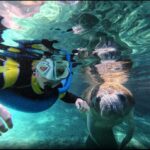 Manatee Snorkeling Tour with in water Guide and photographer - Who Is This Tour Best Suited For?