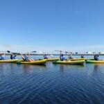 Manatee Springs Adventure Tour - Final Thoughts: Is This Tour Right for You?