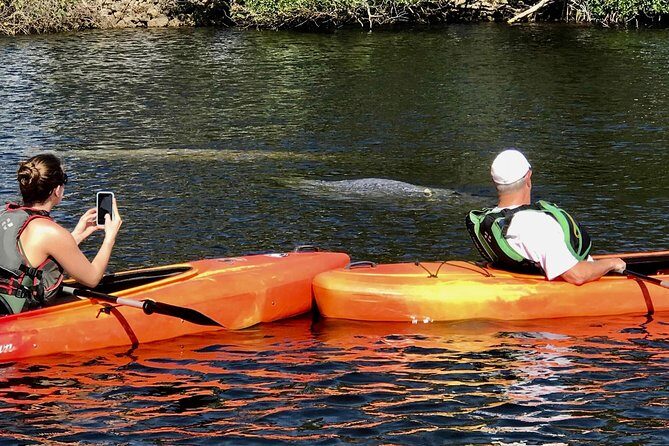 Manatees and Mangrove Tunnels Small Group Kayak Tour - Authentic Experiences Based on Reviews