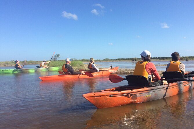 Manatees, Grasslands and Mangroves kayak Tour (Small Group Tour) - The Value of This Experience