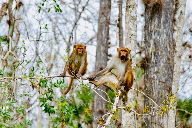 Manatees, Monkeys and Florida Natural Spring Adventure Tour - Who Will Love This Tour?