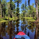 Manchac Swamp EXTENDED Kayak Tour with Pickup - The Benefits of this Tour