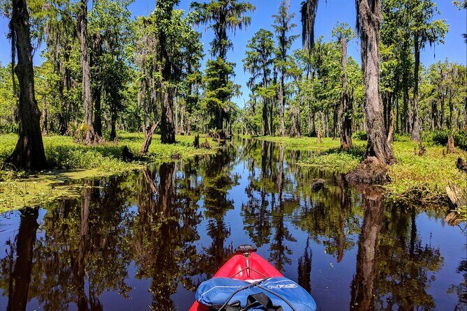Manchac Swamp EXTENDED Kayak Tour with Pickup - The Benefits of this Tour