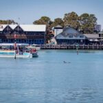 Mandurah: Sightseeing Dolphin Cruise with Tour Guide - Practical Details