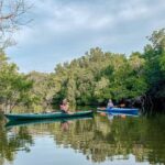 Mangrove Kayaking Tour - How the Tour is Structured