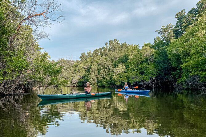 Mangrove Kayaking Tour - How the Tour is Structured